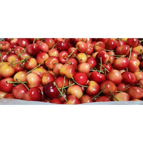 tw-11134207-7r98q-ly0ly8dthhd265