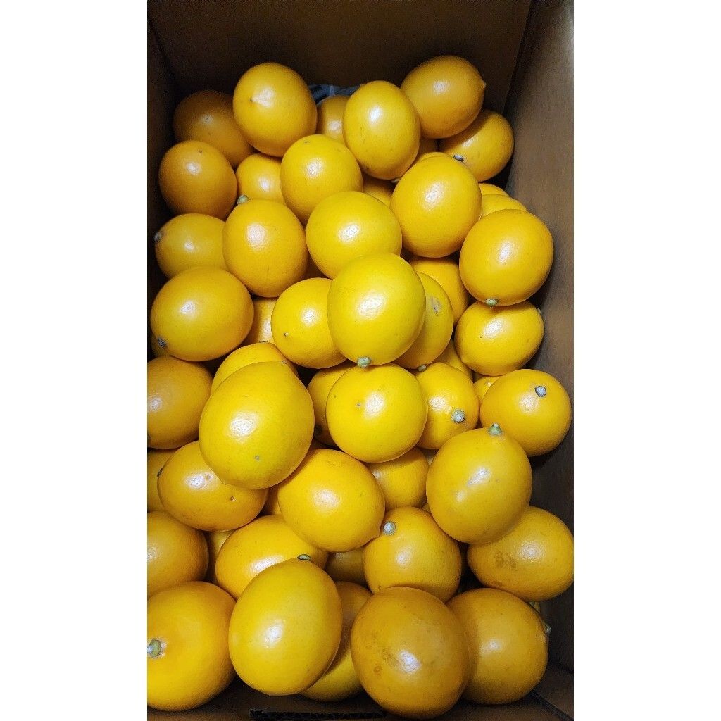 tw-11134207-7rasd-m0e93dbmx3v797