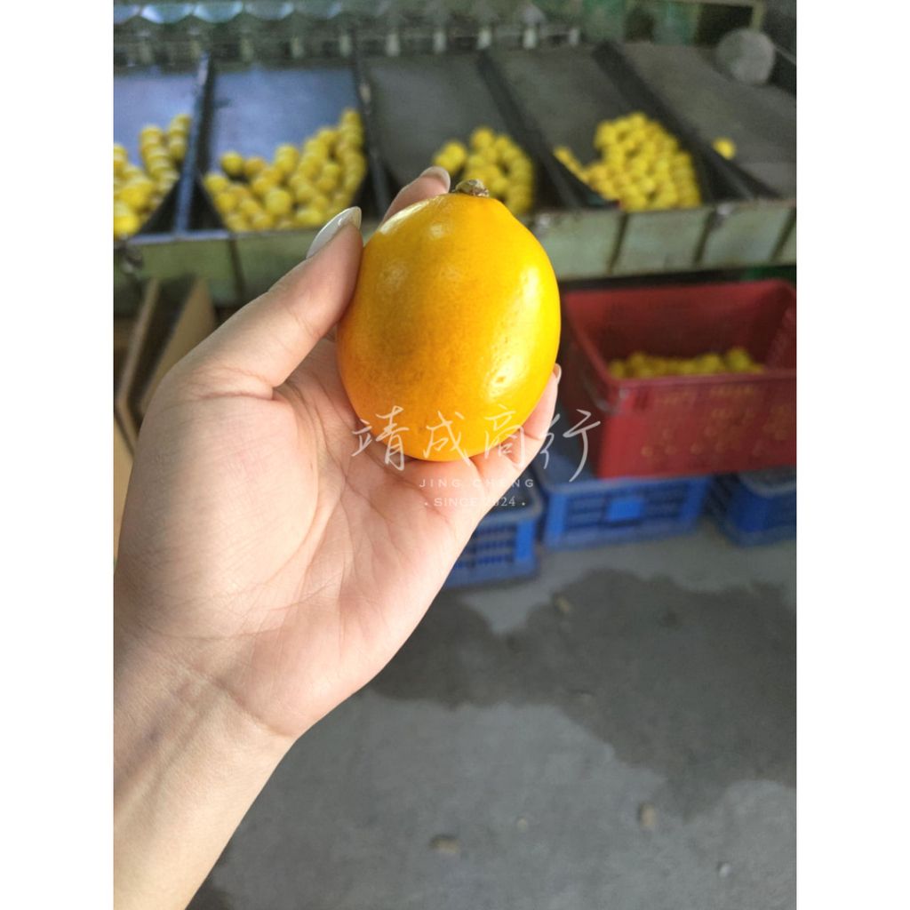 tw-11134207-7r98u-lyj5ywawe0ace5