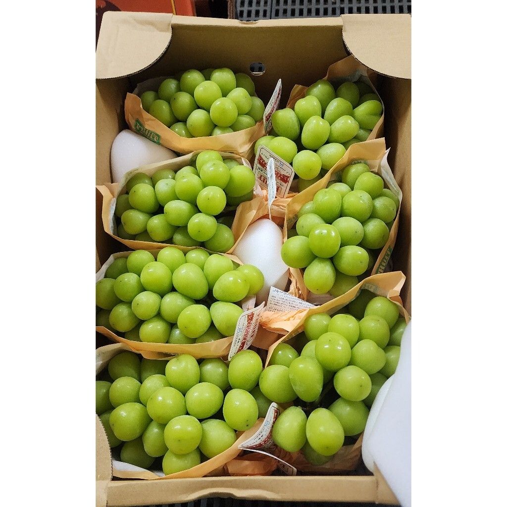 tw-11134207-7rase-m1bbto63u8lwdb