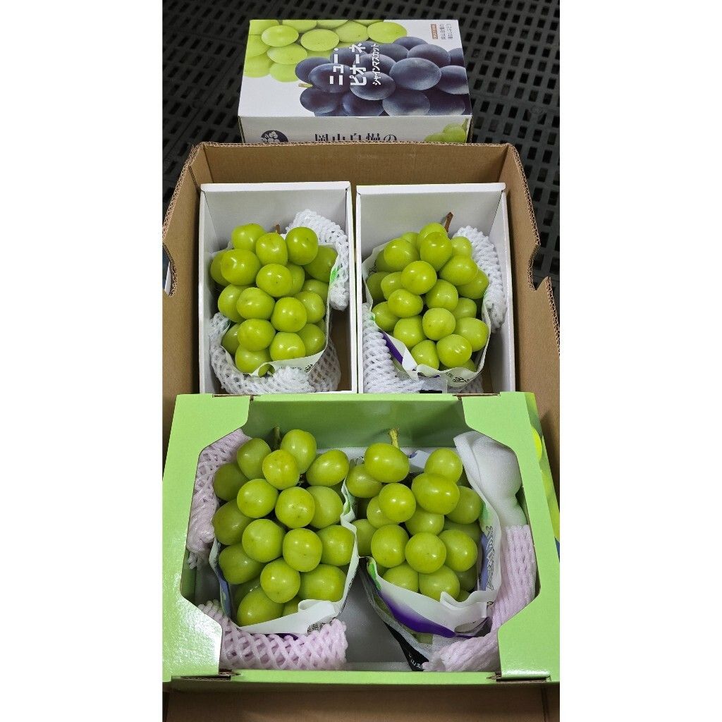 tw-11134207-7rase-m0hitajy6fhj7c