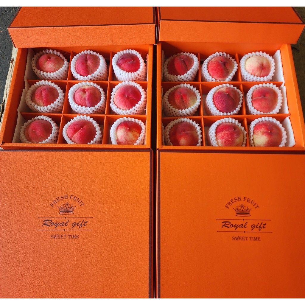 tw-11134207-7rase-m0hj29q19d5f81