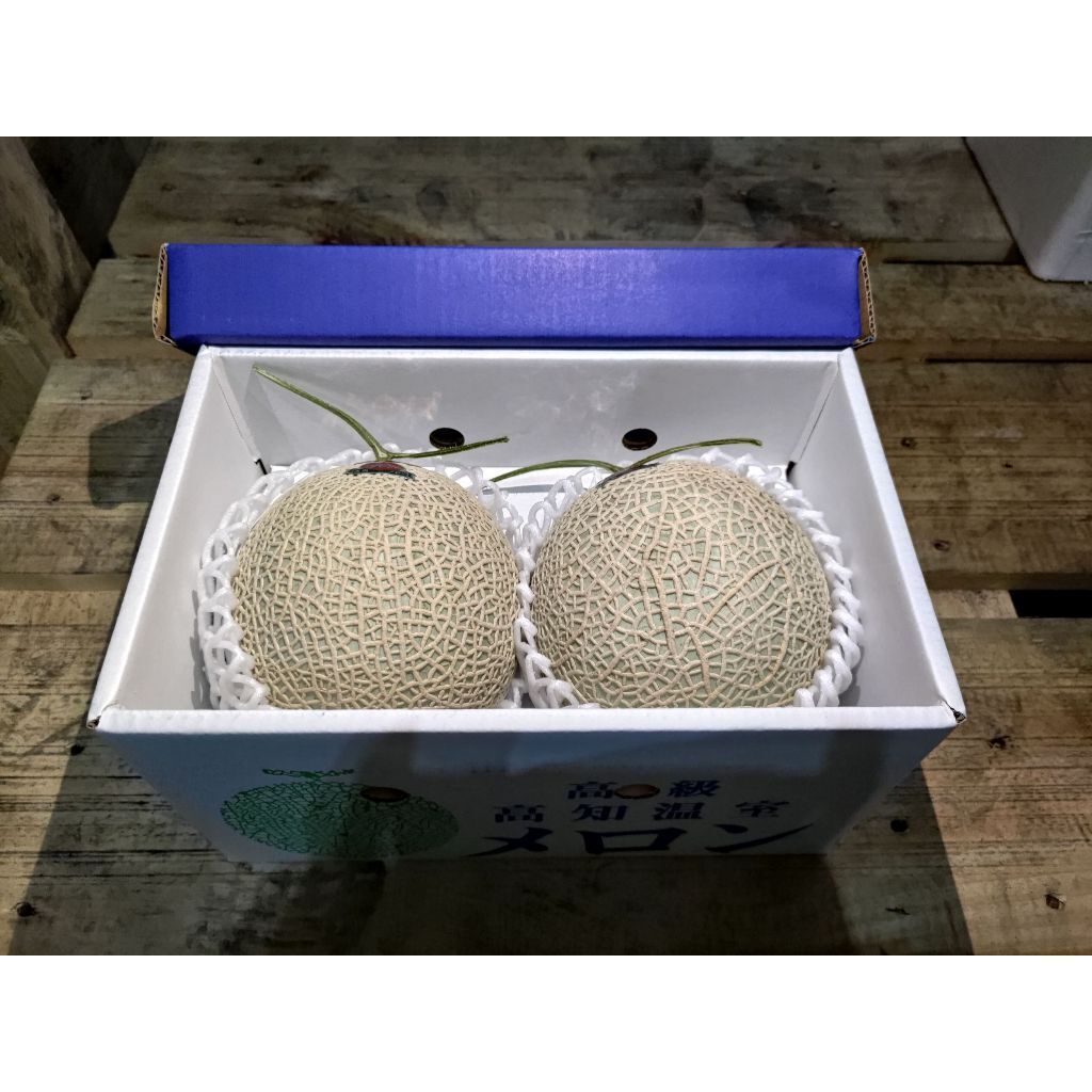 tw-11134207-7rasm-m0hj2zsp3qvn43