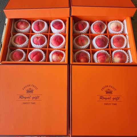 tw-11134207-7r98q-m02nwg3if4r7e0