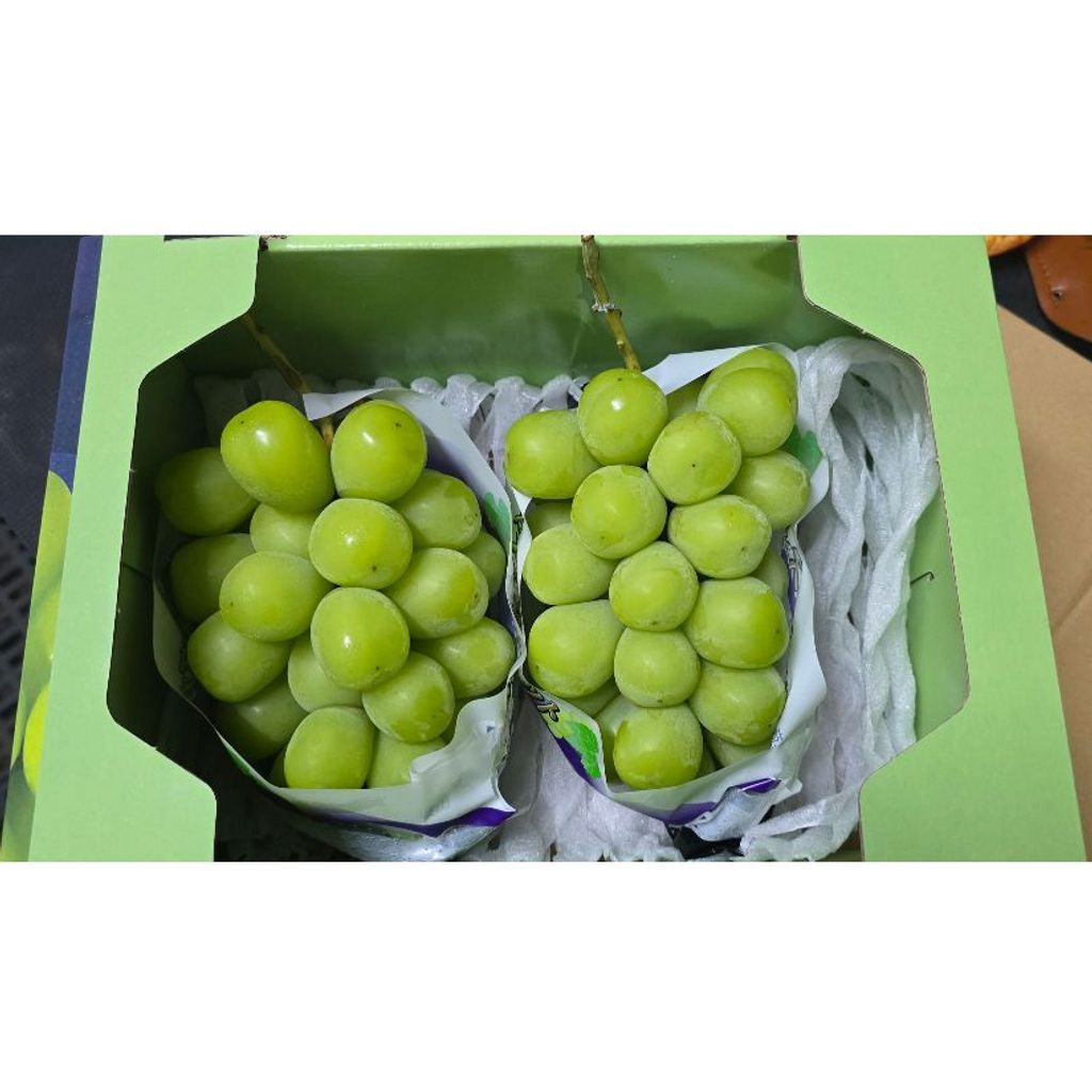 tw-11134207-7r98r-m02nx825i0vbe5