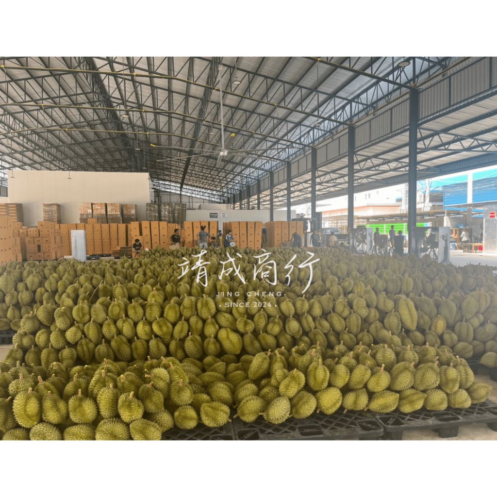 tw-11134207-7r991-lurgv8kupe5y05