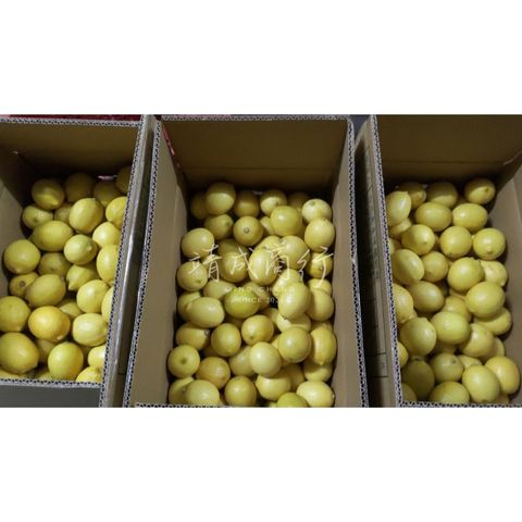 優利卡黃檸檬Eureka 內箱實際圖