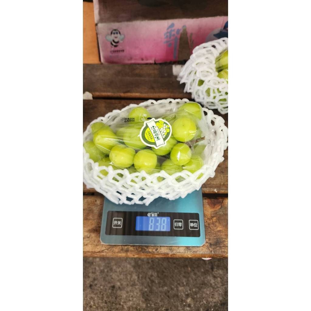 tw-11134207-7r98o-lzvztkmt79jy92