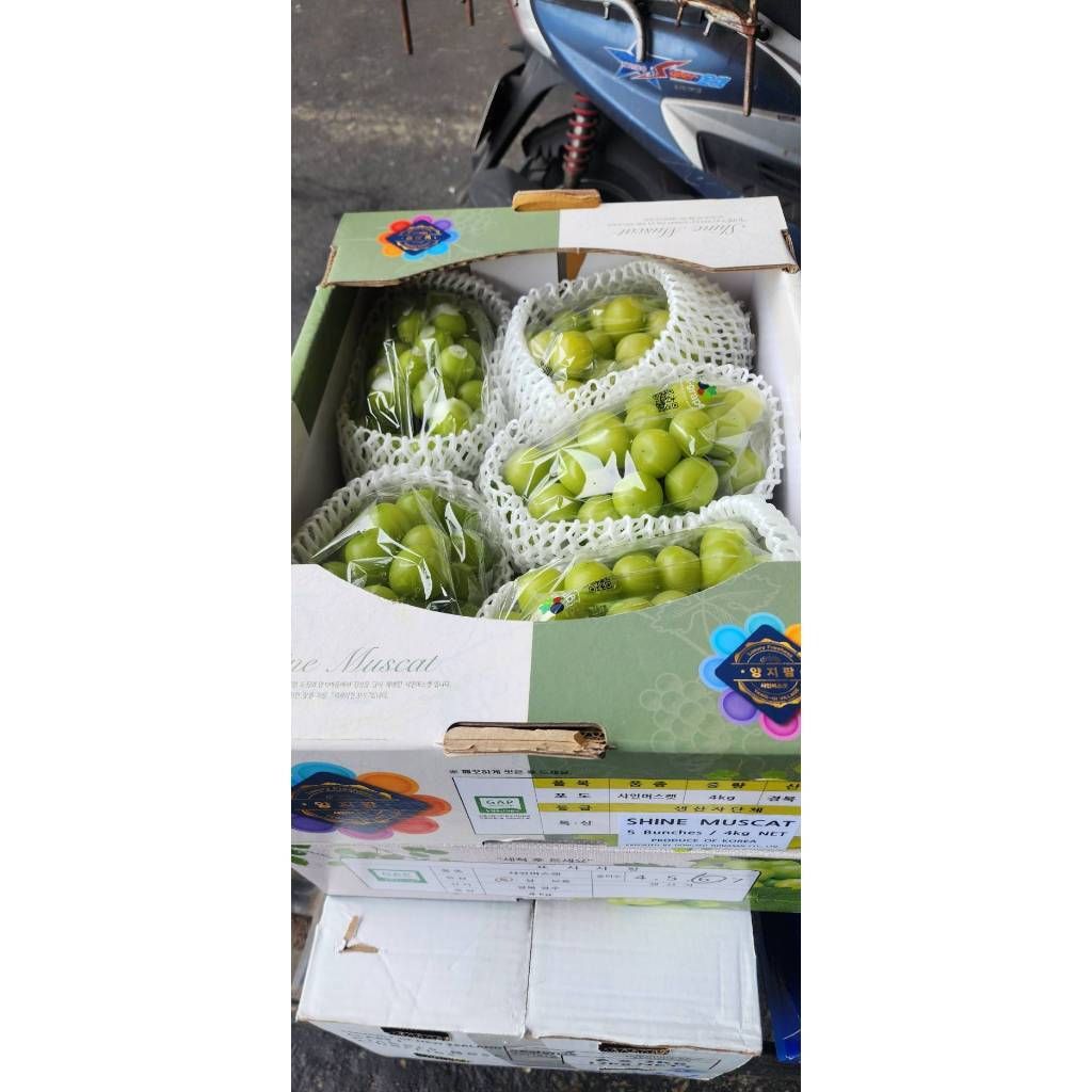 tw-11134207-7r98x-lzvzu4hk5becfe