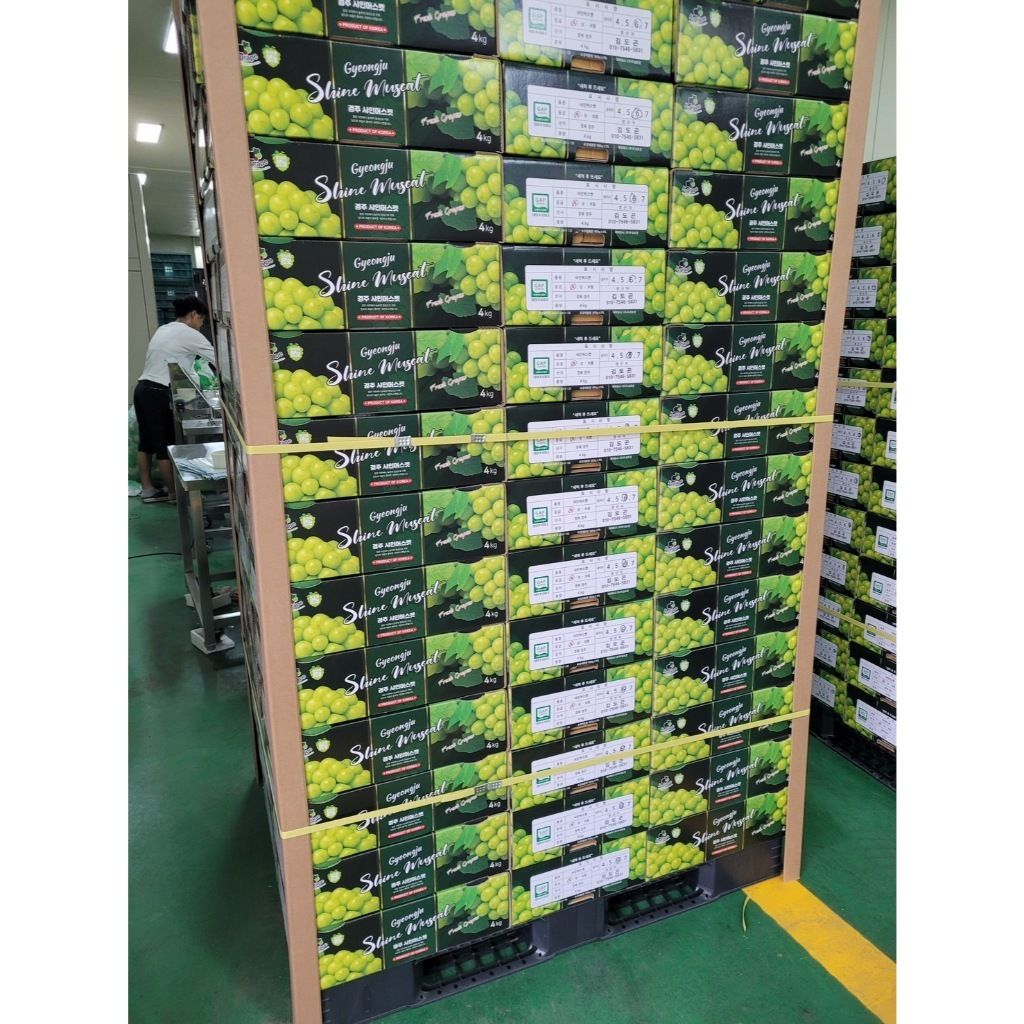 tw-11134207-7r991-lzvzd22xao0u66