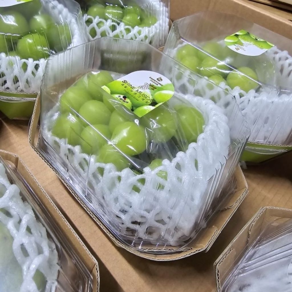 tw-11134207-7r98y-lzyd7myeh9nif2