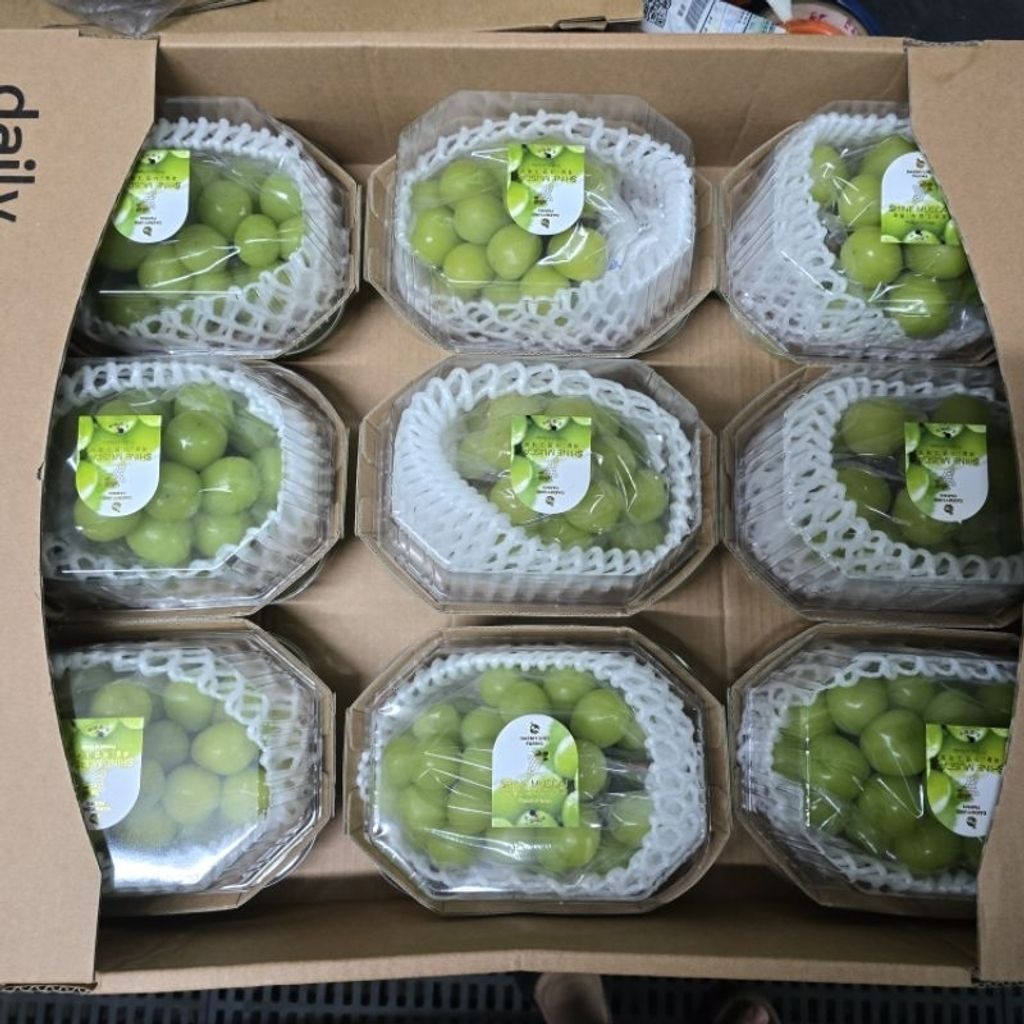 tw-11134207-7r98q-lzxmknxiqu44ba