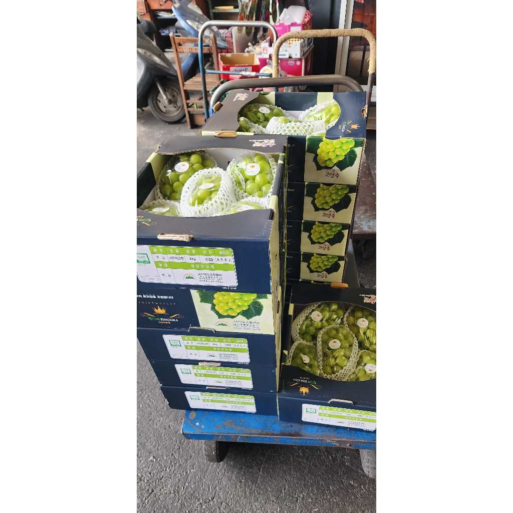 tw-11134207-7r98o-lrrf7ojk9u4yd2