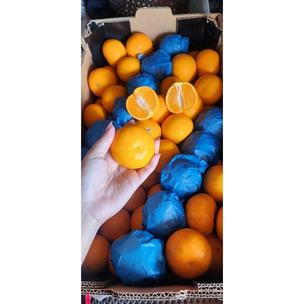 tw-11134207-7r990-lxi3aj6t1quecb