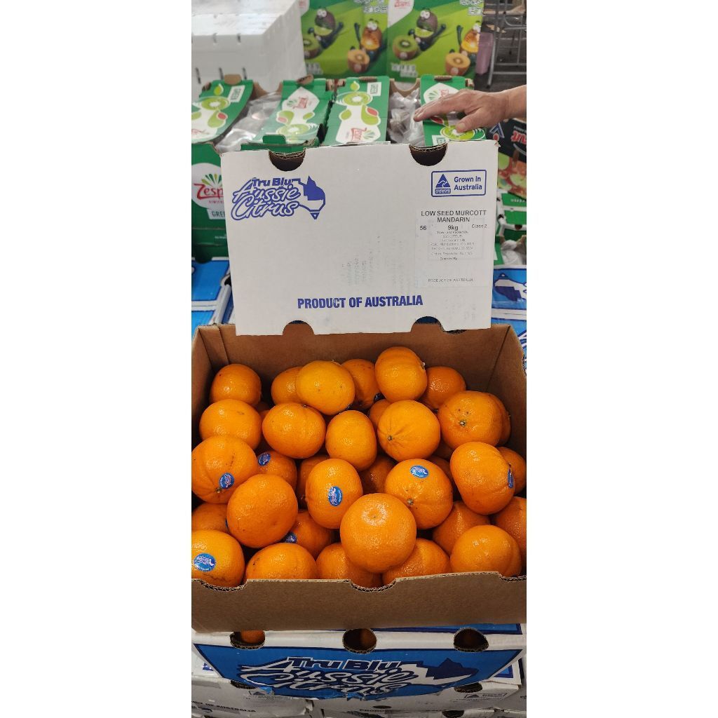 tw-11134207-7r98z-lz7kzqi8e5261f