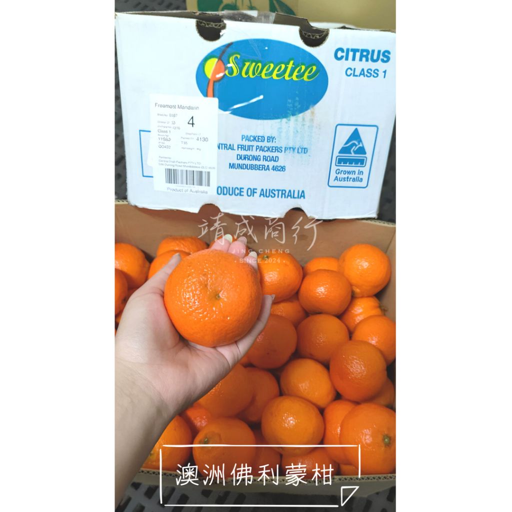 tw-11134207-7r98v-lwnxu6sh0pio98