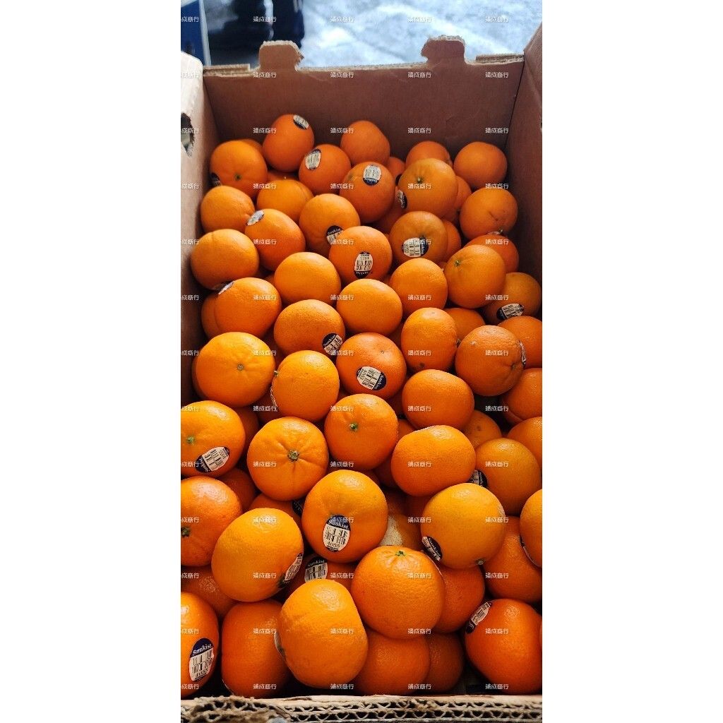 tw-11134207-7r990-lt287s3iefbcf1