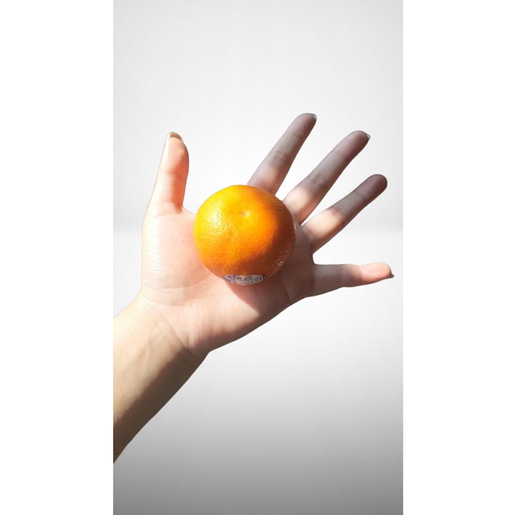 tw-11134207-7r98u-lt287s3isgk236