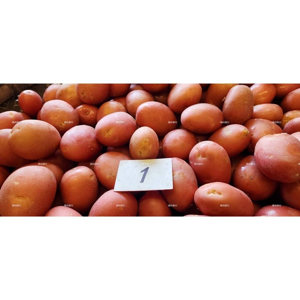 tw-11134207-7r990-lt3tdqbi6p6w9f