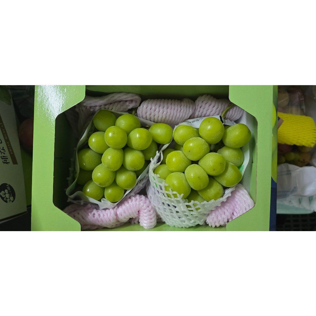 tw-11134207-7r98w-m08zj4w6rpwn4e