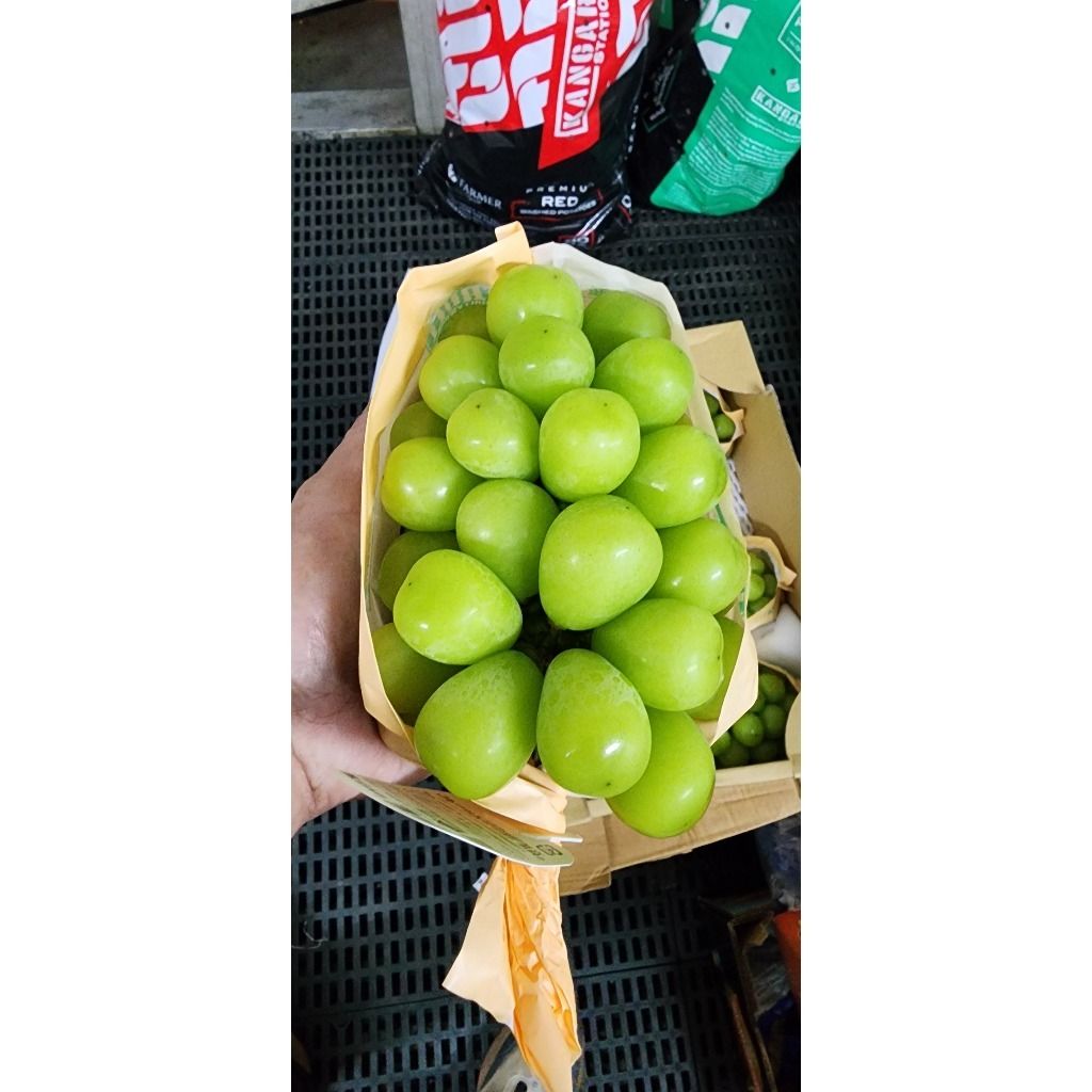 tw-11134207-7rase-m1a6im4afuhgae