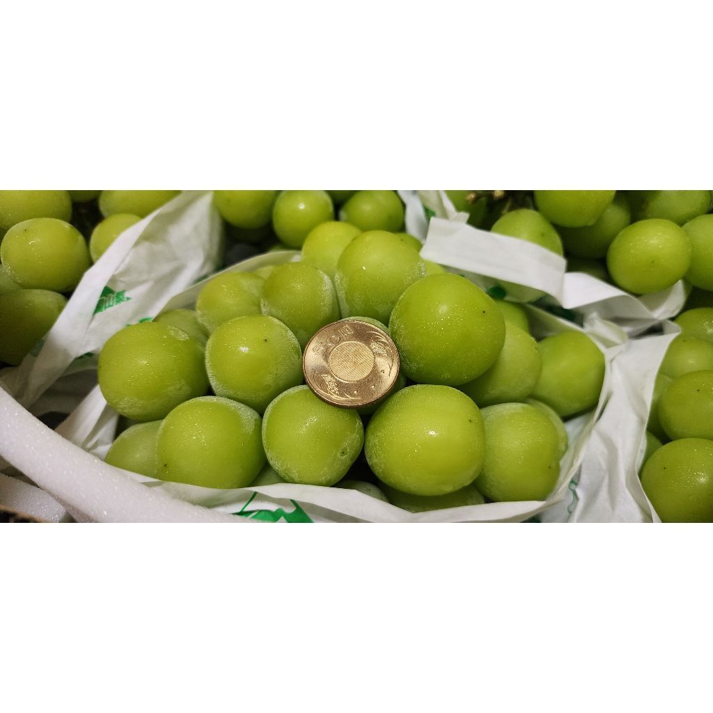 tw-11134207-7r990-lwzwh640jf3a30