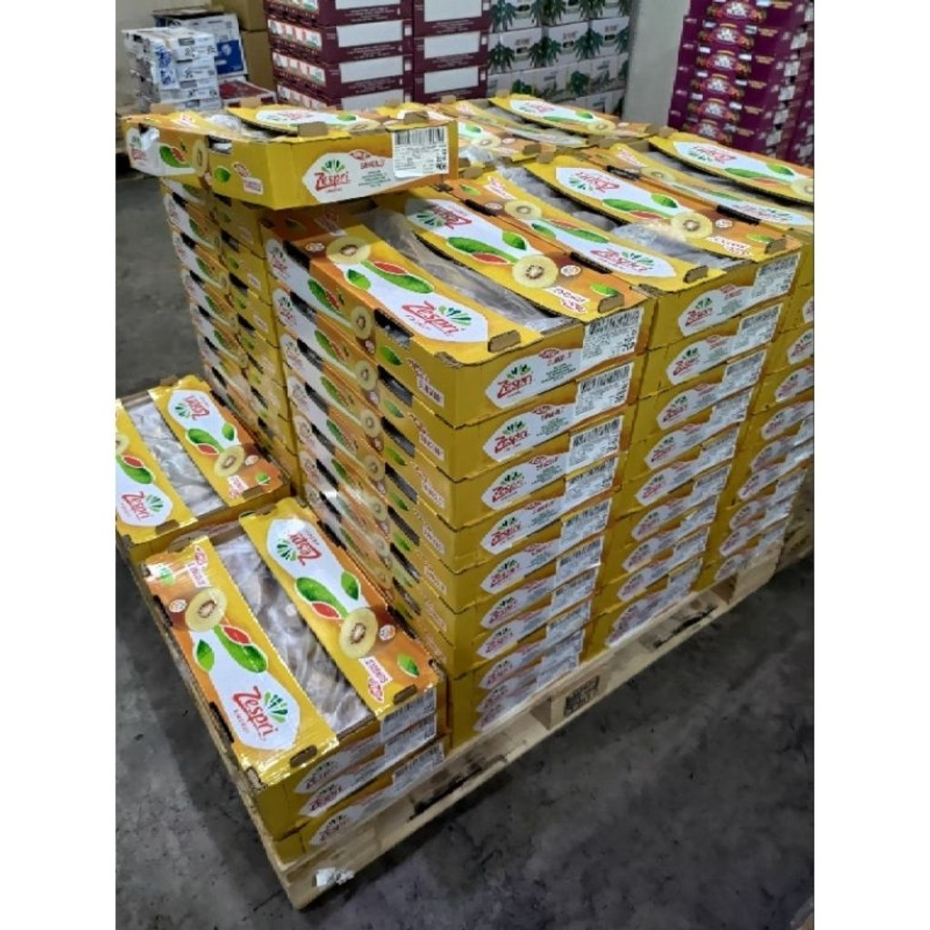 tw-11134207-7r98s-ly0gut12t7owb0