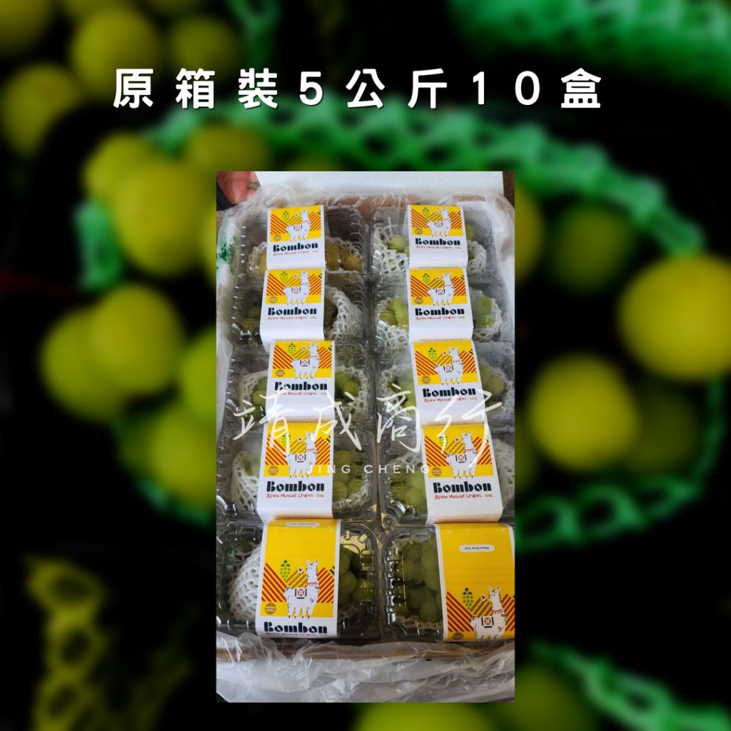 tw-11134207-7r98o-luuuk4ybuzg6c3