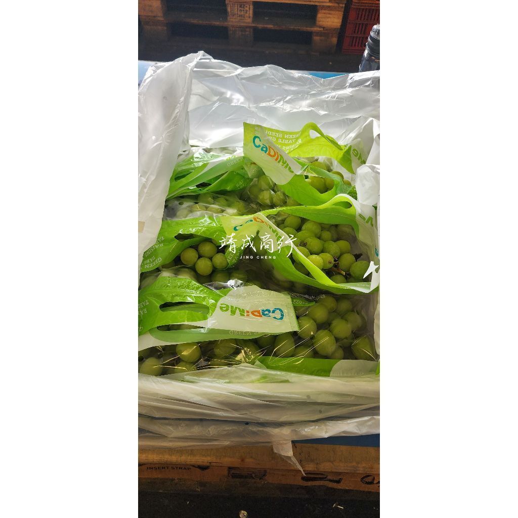 tw-11134207-7r98q-ltgngnmyz9974e