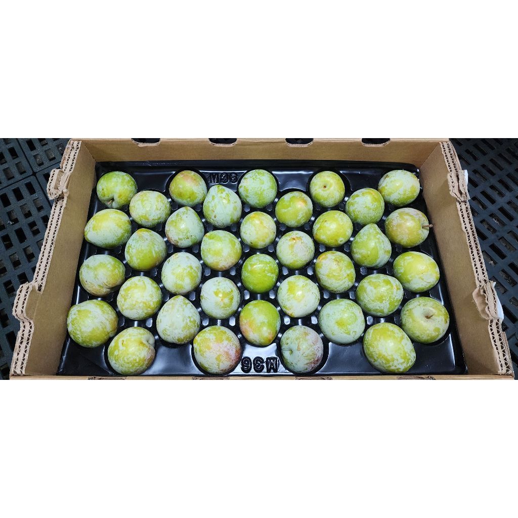 tw-11134207-7r98z-lzjdl3byph5qa3