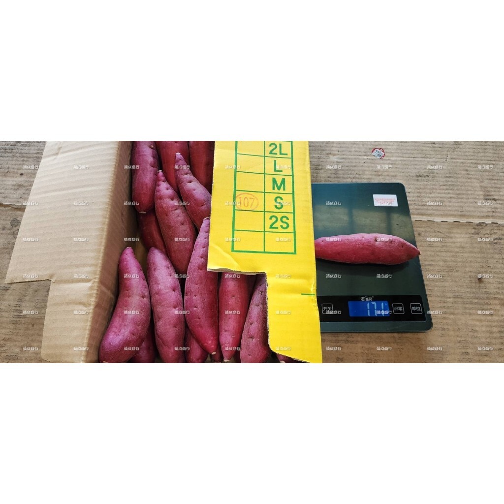 tw-11134207-7r98o-lt3ppth5us5k19
