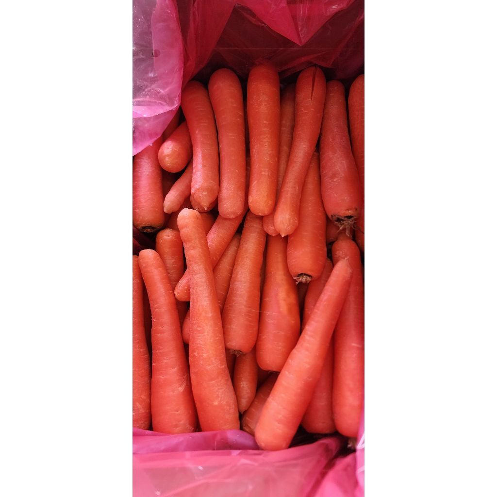 tw-11134207-7r98w-lz76kzdh5c0uc0