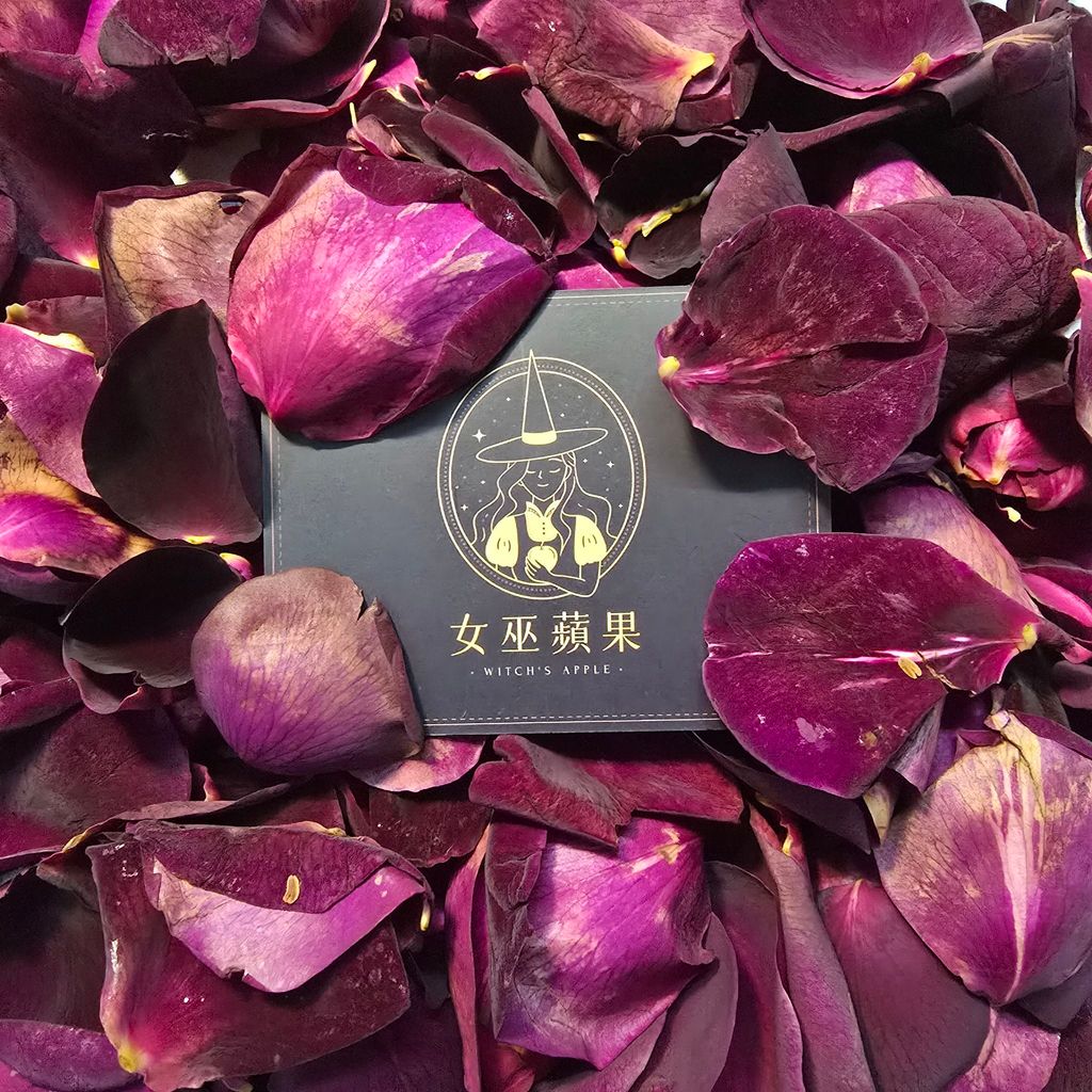 女巫蘋果-玫瑰