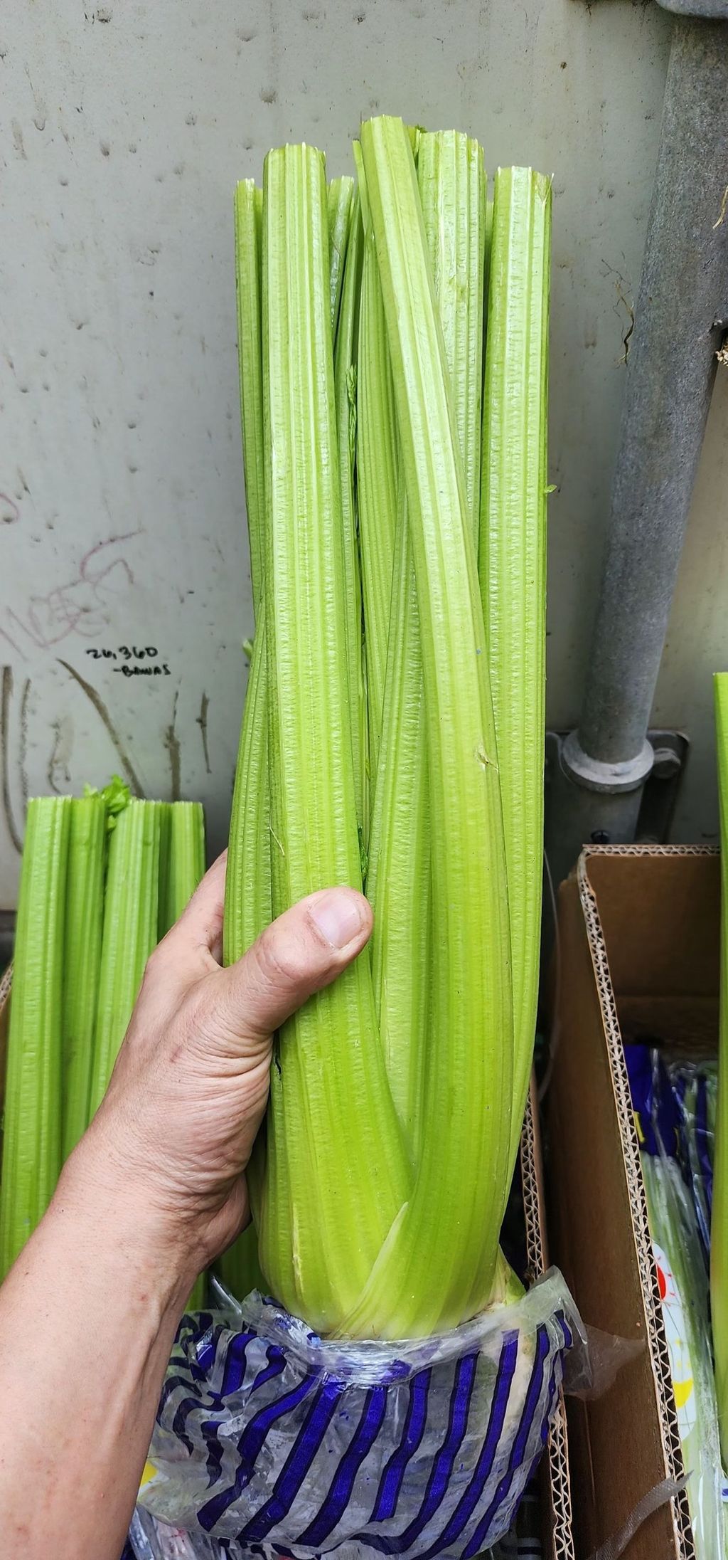 line_oa_chat_250608_205431_group_2