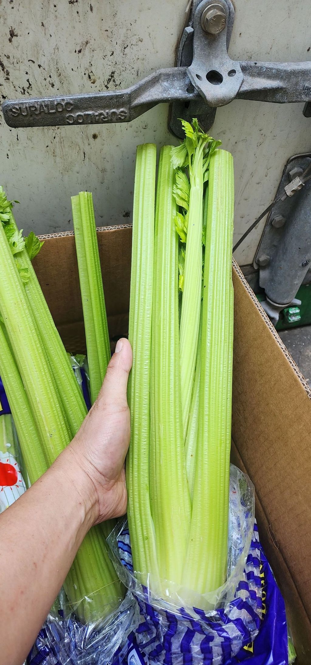 line_oa_chat_250608_205431_group_3