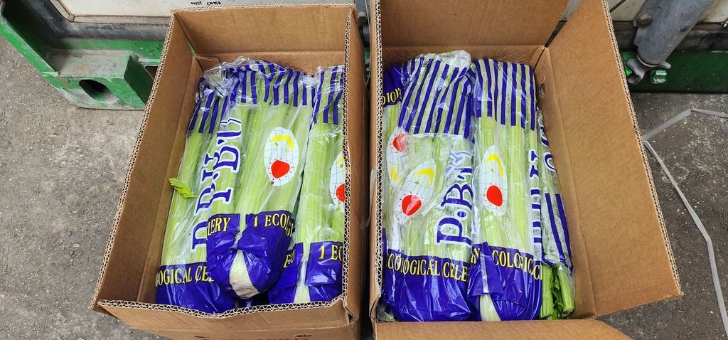 line_oa_chat_250608_205431_group_4