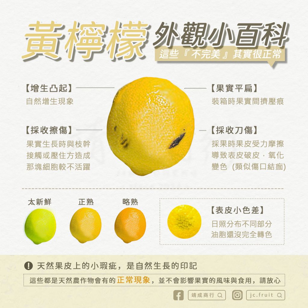 黃檸檬外觀-5