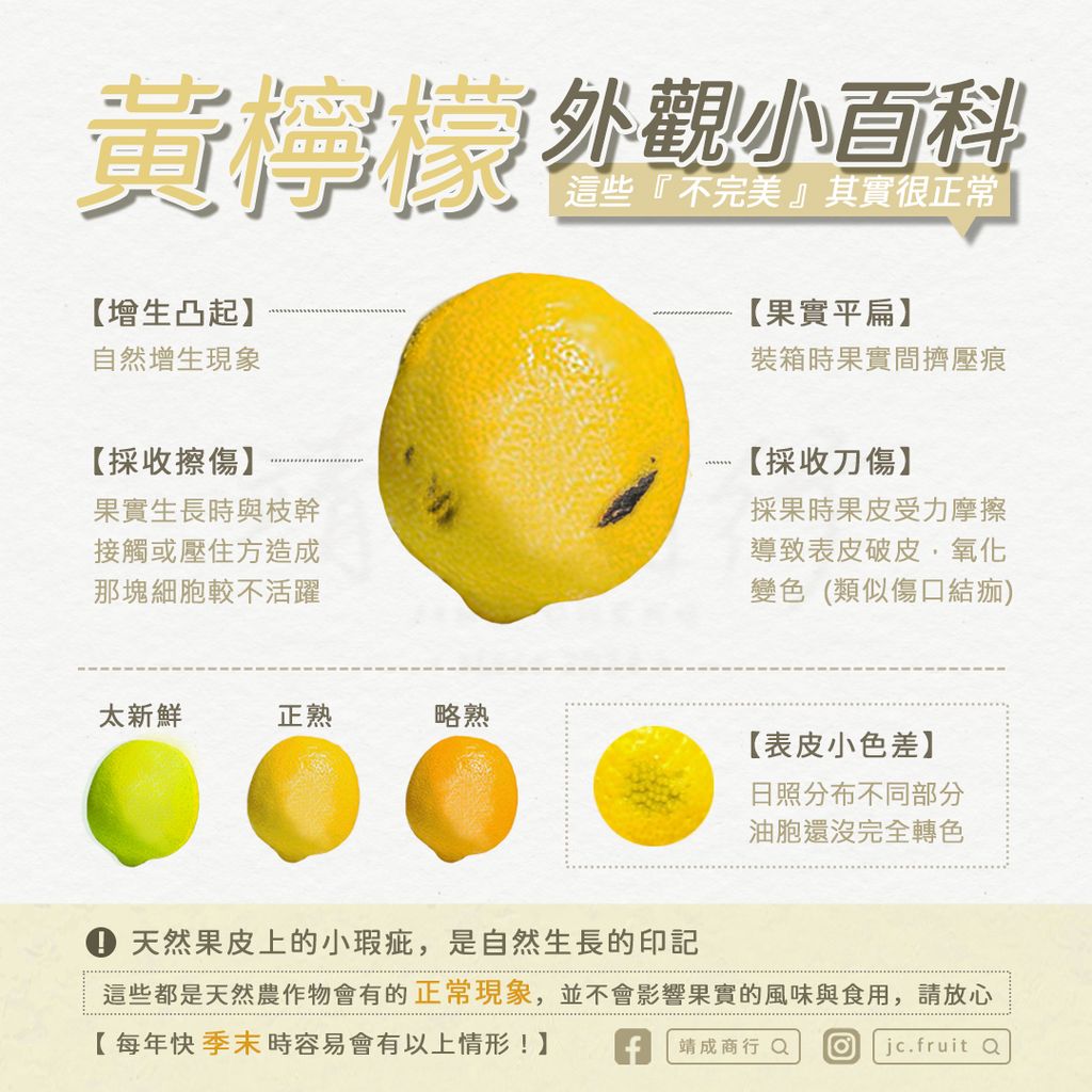 黃檸檬外觀-5_加上季末