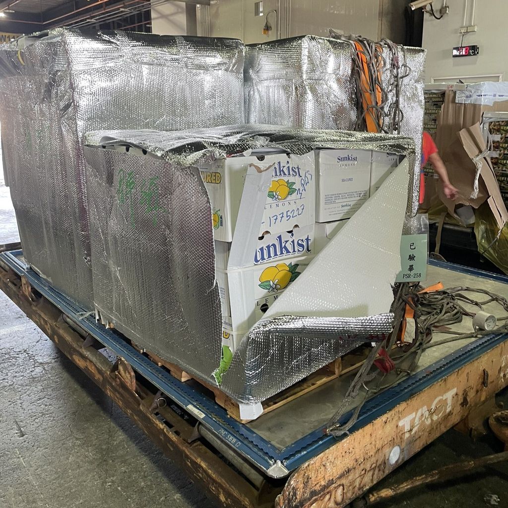 美國黃檸檬空運包裝現場