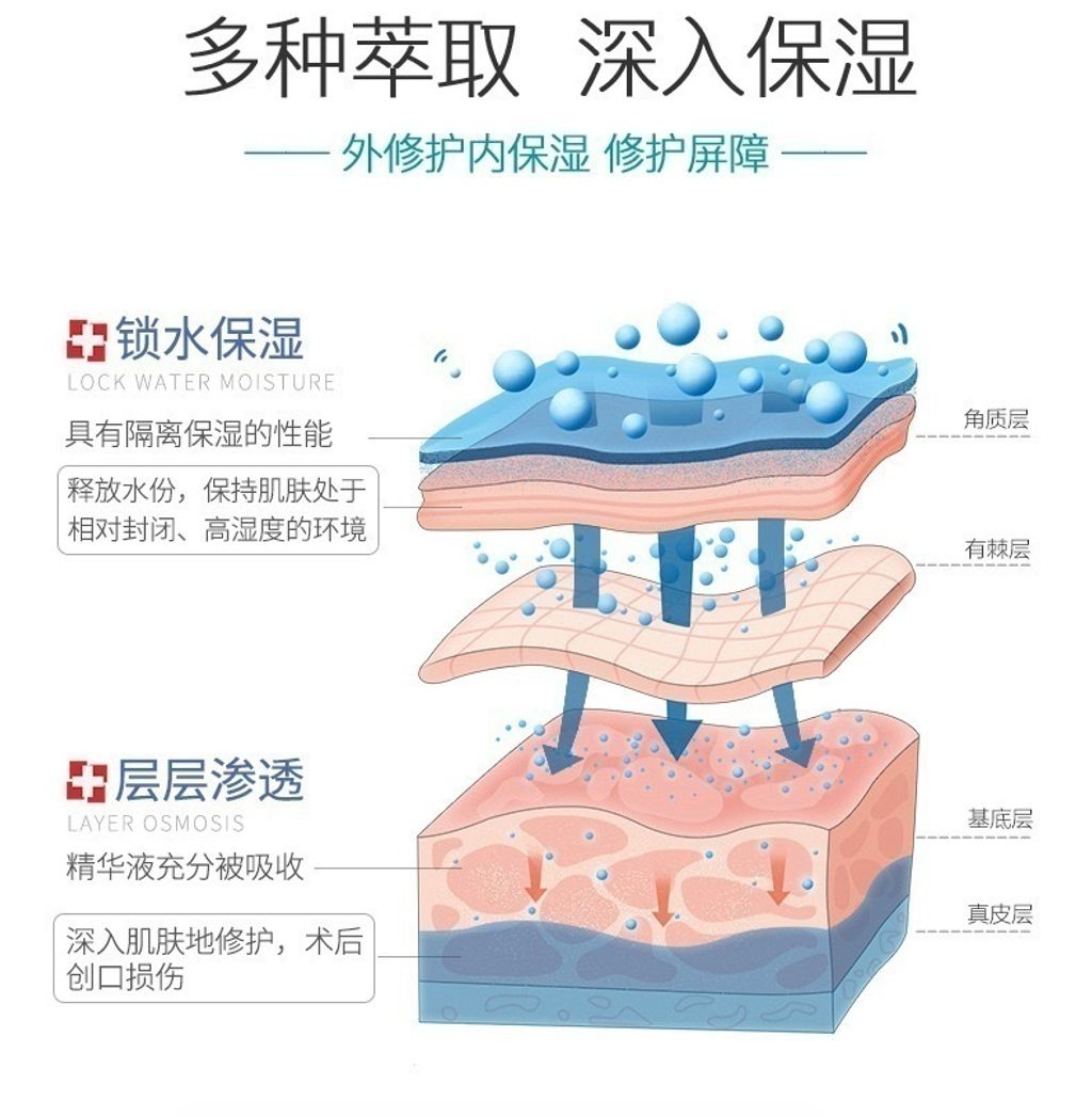 IMG_2729-1737363079829