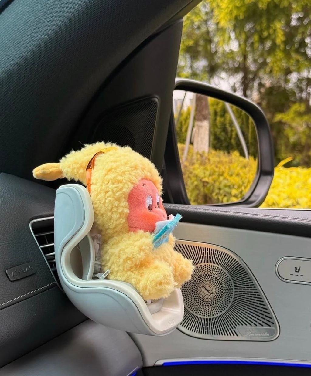 image_614D423D-C525-4812-93A5-B1C999BE7BAB_1769601053