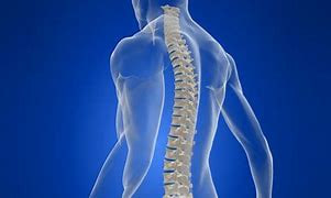 photo_2024-12-27_18-08-52