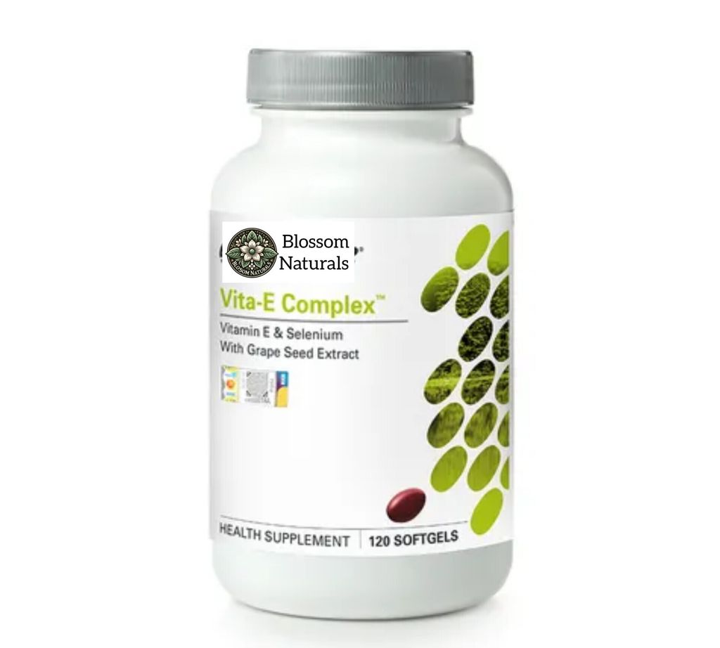 InShot_20250101_194538076