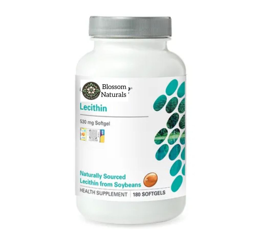 InShot_20250101_194415145