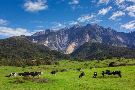 SABAH KUNDASANG | Cuti Cuti Sabah Malaysia