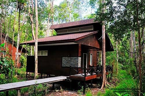 kinabatangan-wetland-resort-8