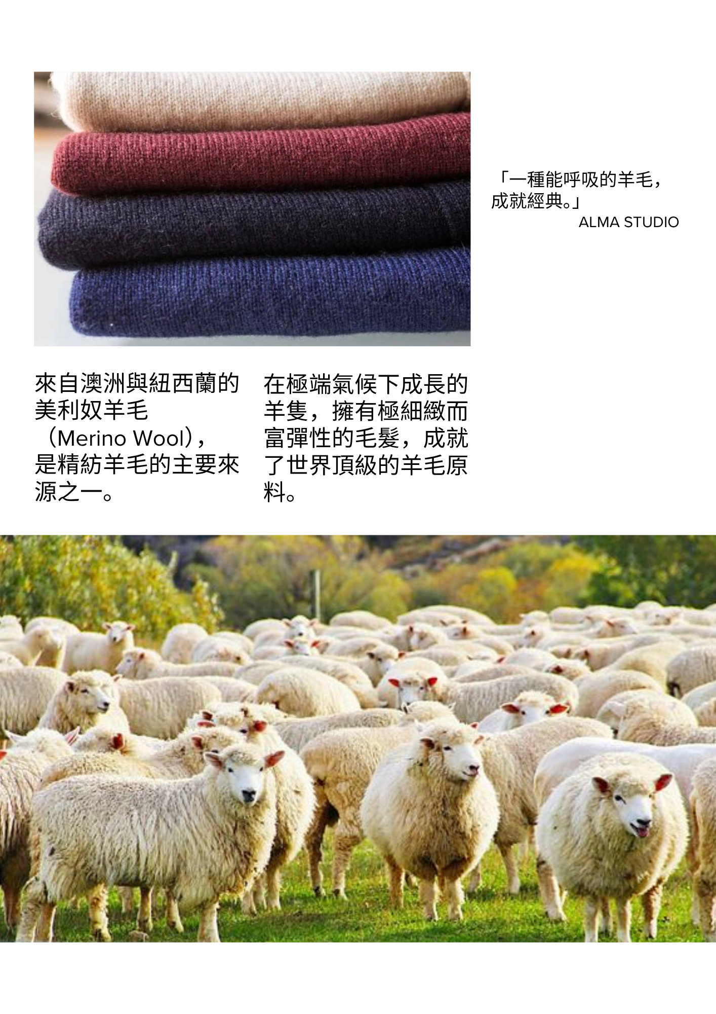 精紡羊毛-Worsted Wool.zip - Editorial Box (Left)