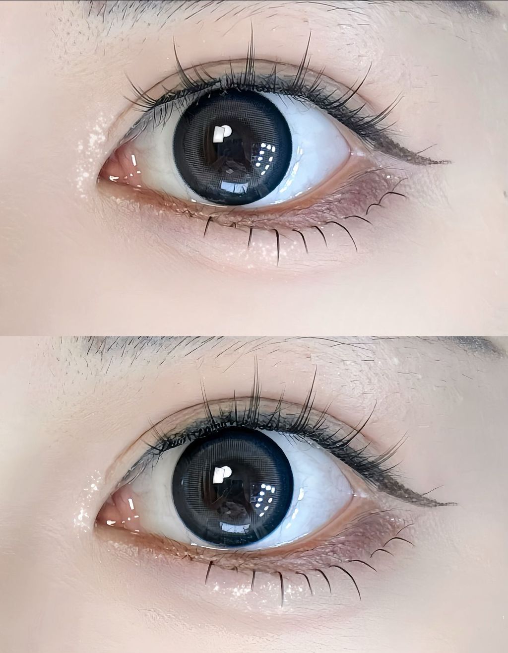 WhatsApp 图像2025-08-20于18.02.31_2a040be5