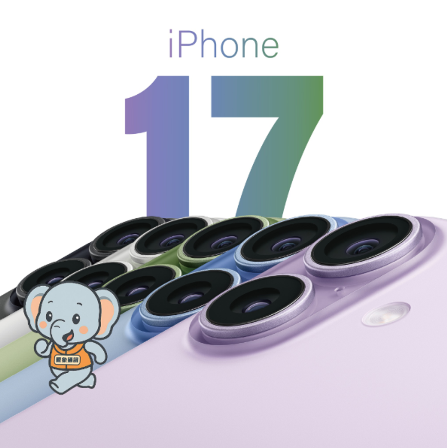 https://cdn.store-assets.com/s/1371814/f/15927143.png