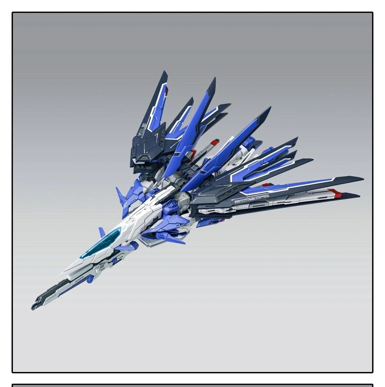 mmexport1782260779482~2